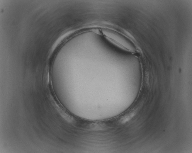 X0000081291368200702012233