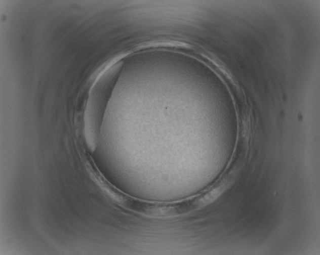 X0000081291369200702012233