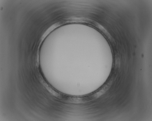 X0000081291370200702012233