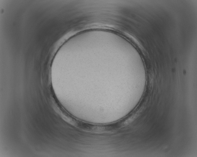 X0000081291371200702012233