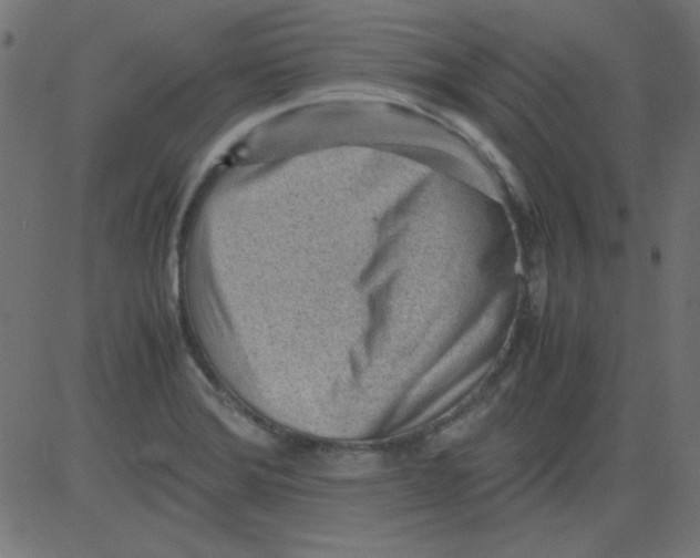 X0000081291372200702012233