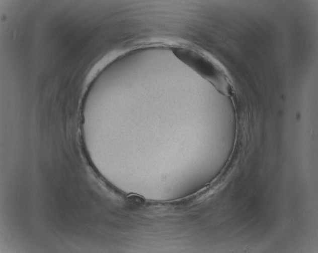 X0000081291373200702012233