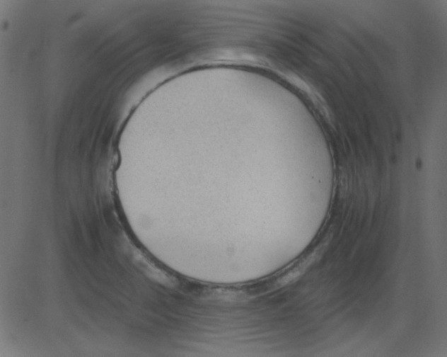 X0000081291374200702012233