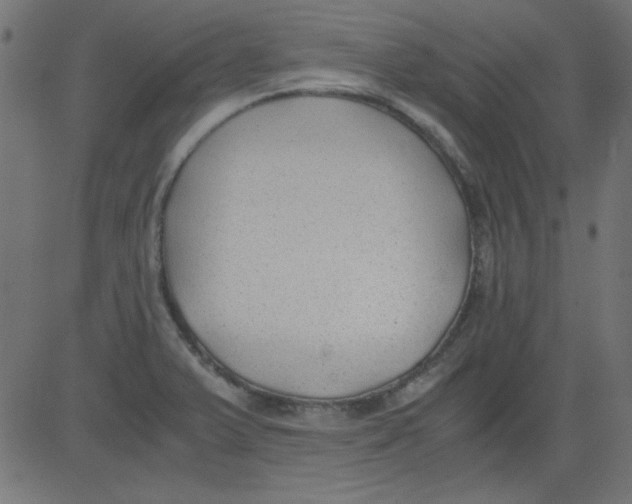 X0000081291375200702012233