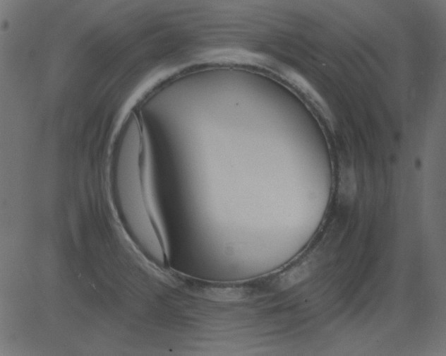 X0000081291376200702012233