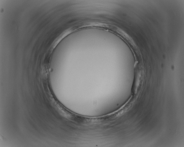 X0000081291377200702012233