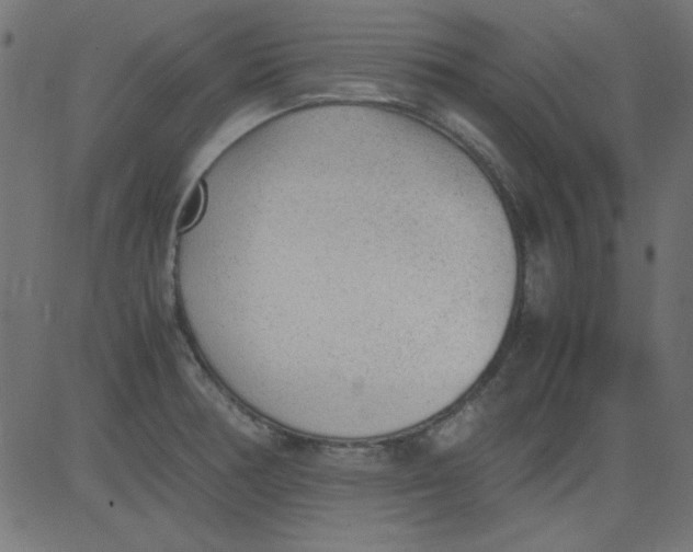 X0000081291378200702012233