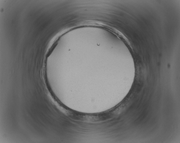 X0000081291379200702012233