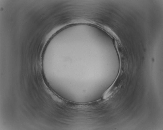 X0000081291380200702012233