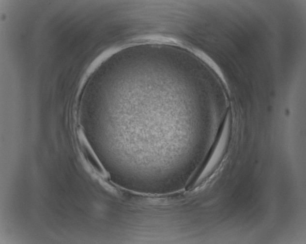 X0000081291381200702012233