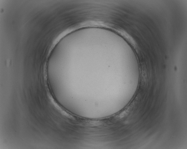 X0000081291382200702012233