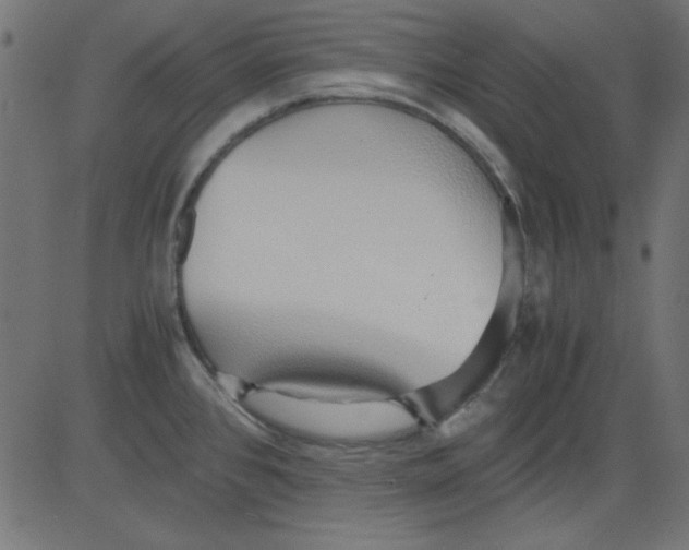 X0000081291384200702012233