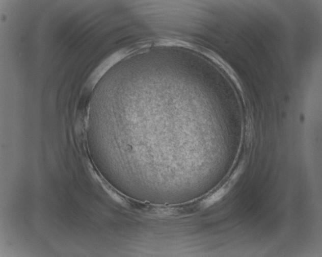 X0000081291385200702012233