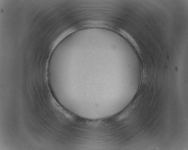 X0000081291386200702012233