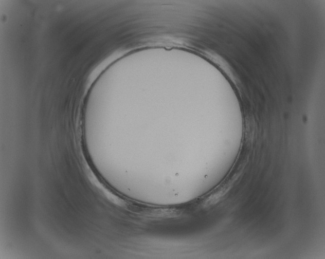 X0000081291387200702012233