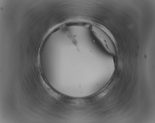 X0000081291388200702012233