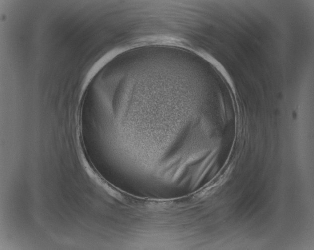 X0000081291389200702012233