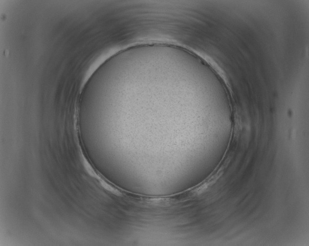 X0000081291390200702012233