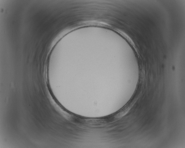 X0000081291391200702012233