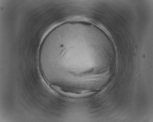 X0000081291392200702012233