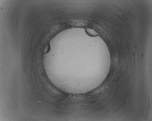 X0000081291393200702012232