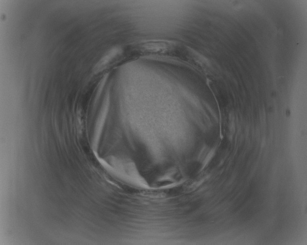 X0000081291394200702012232