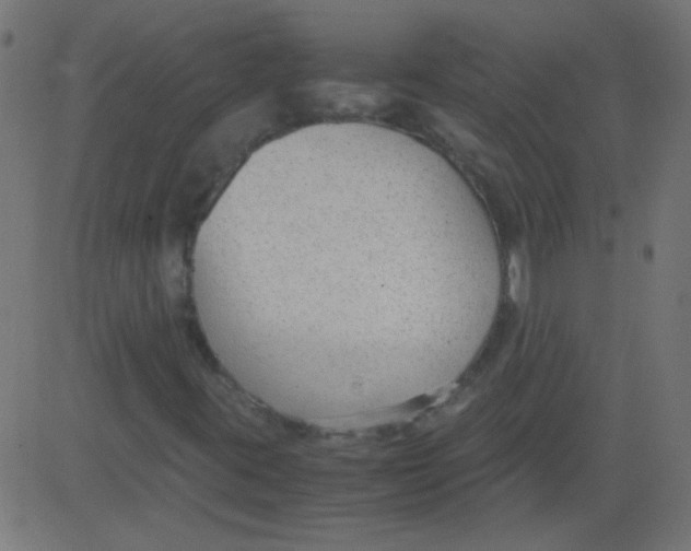 X0000081291395200702012232