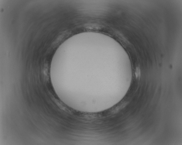 X0000081291396200702012232