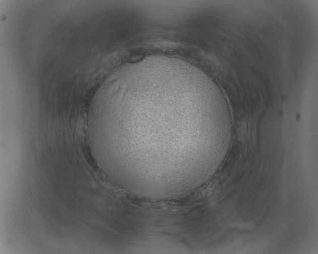 X0000081291397200702012232