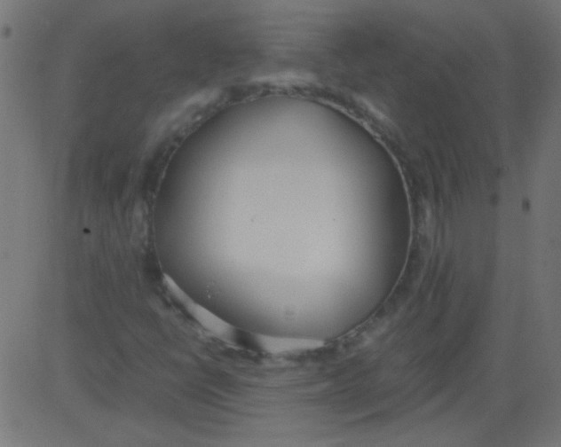 X0000081291398200702012232