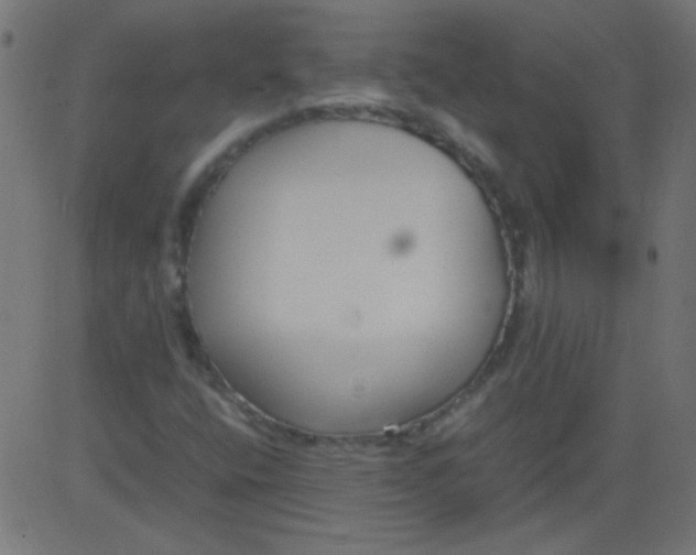 X0000081291400200702012232