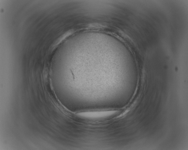 X0000081291401200702012232