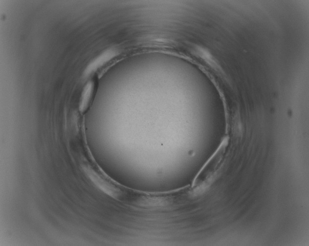 X0000081291402200702012232