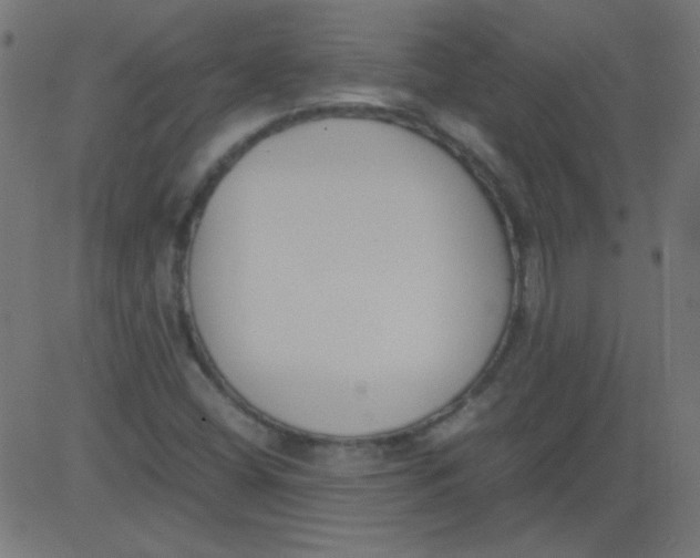 X0000081291404200702012232