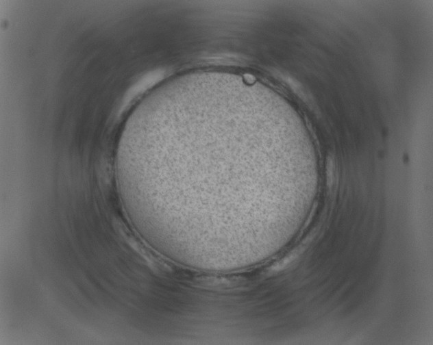 X0000081291405200702012232