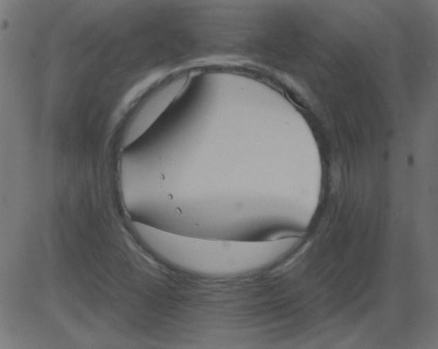 X0000081291406200702012232