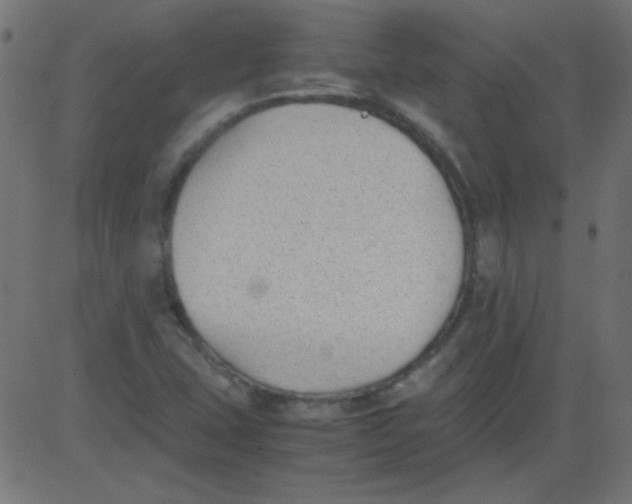 X0000081291407200702012233