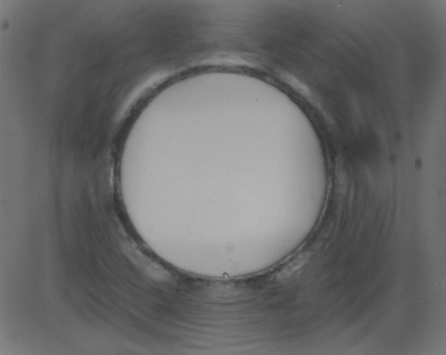 X0000081291408200702012233