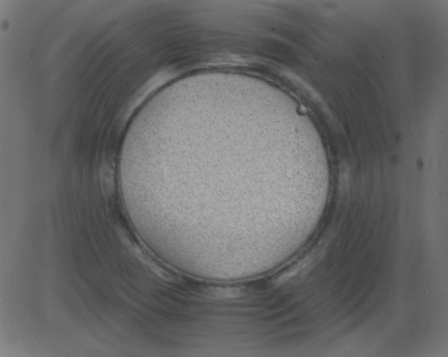 X0000081291409200702012233