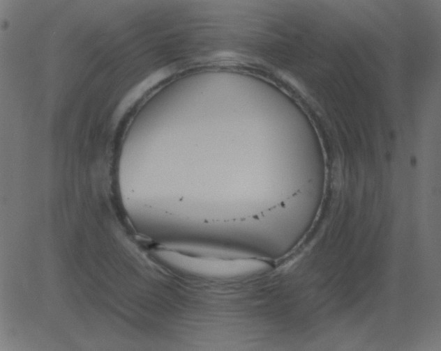 X0000081291410200702012233