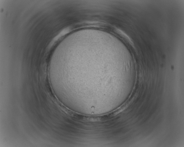 X0000081291411200702012233