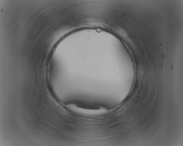 X0000081291412200702012233