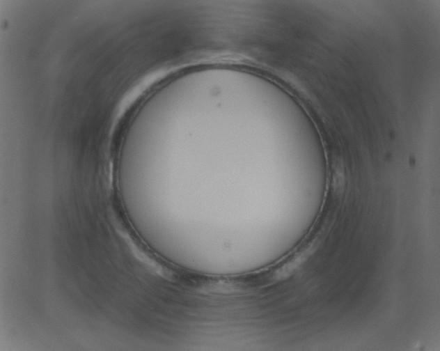 X0000081291414200702012233