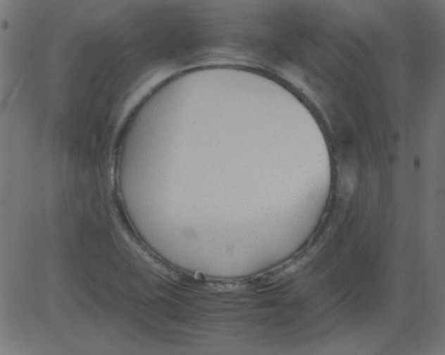 X0000081291415200702012233