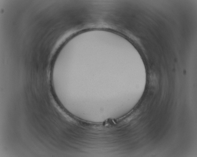 X0000081291416200702012233