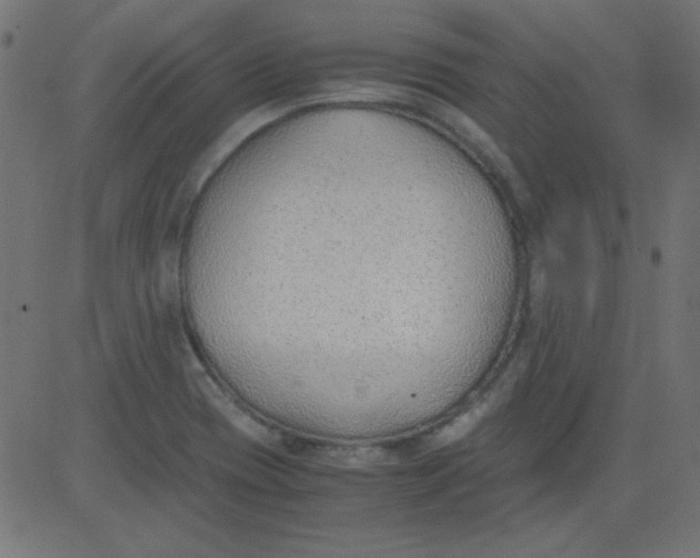 X0000081291417200702012233