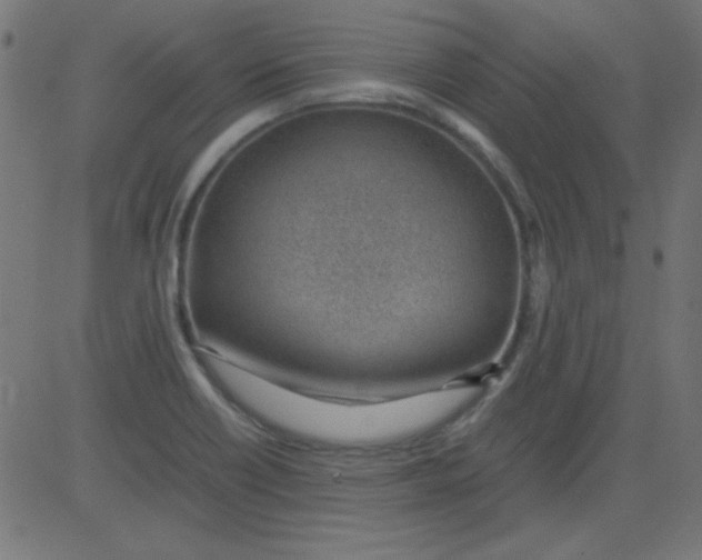 X0000081291418200702012233