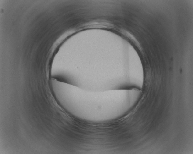 X0000081291419200702012233