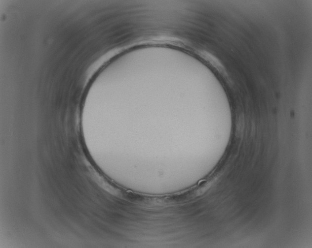 X0000081291420200702012233