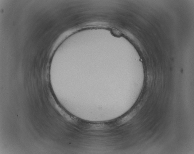 X0000081291421200702012233